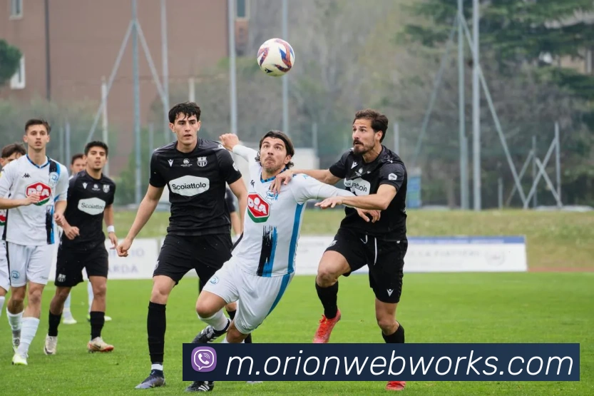 奖项证书